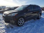 Ford Escape 2013