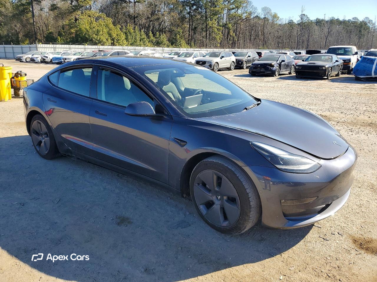 Tesla Model 3 2022