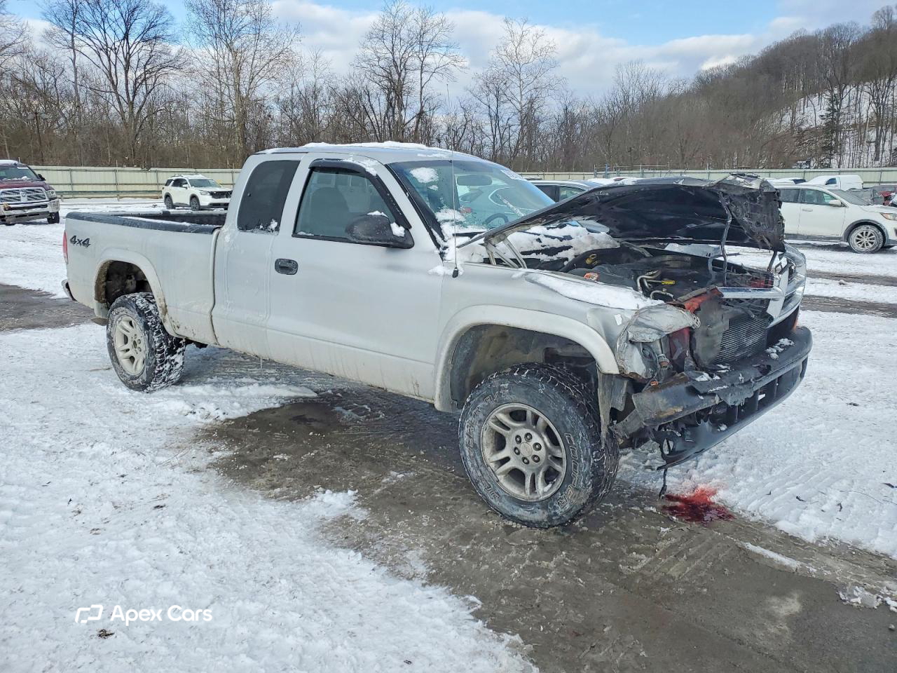 Dodge Dakota 2004