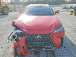 Lexus NX 2024