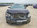 Nissan Maxima 2014