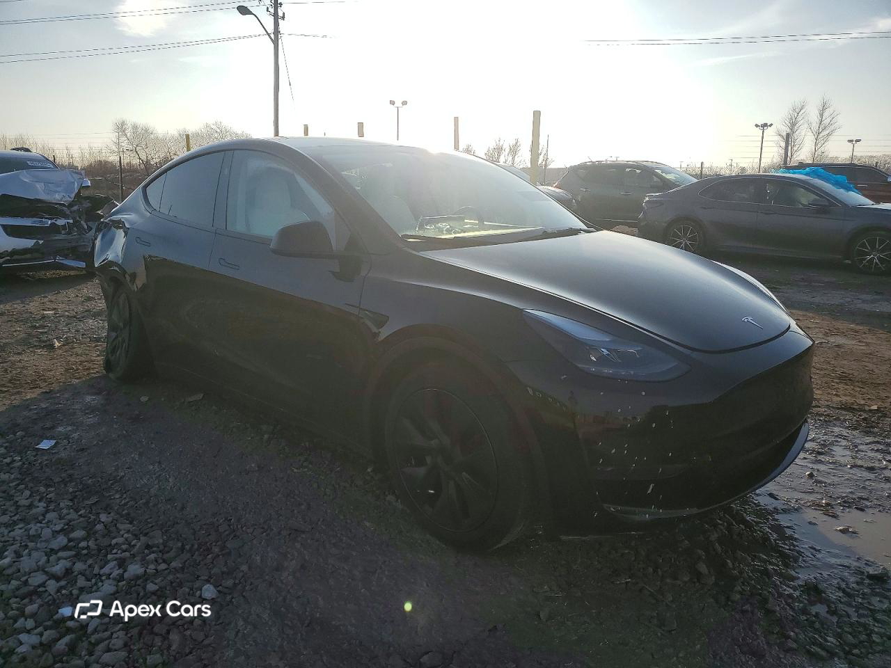 Tesla Model Y 2024