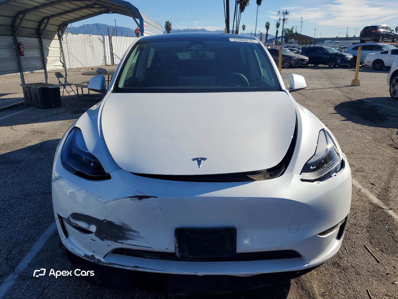 Tesla Model Y 2024
