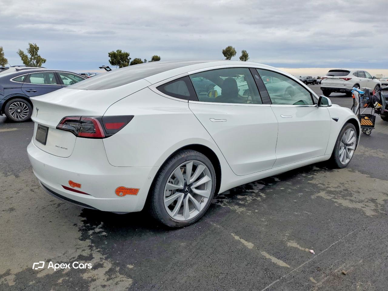 Tesla Model 3 2019