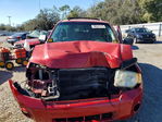 Ford Escape 2011