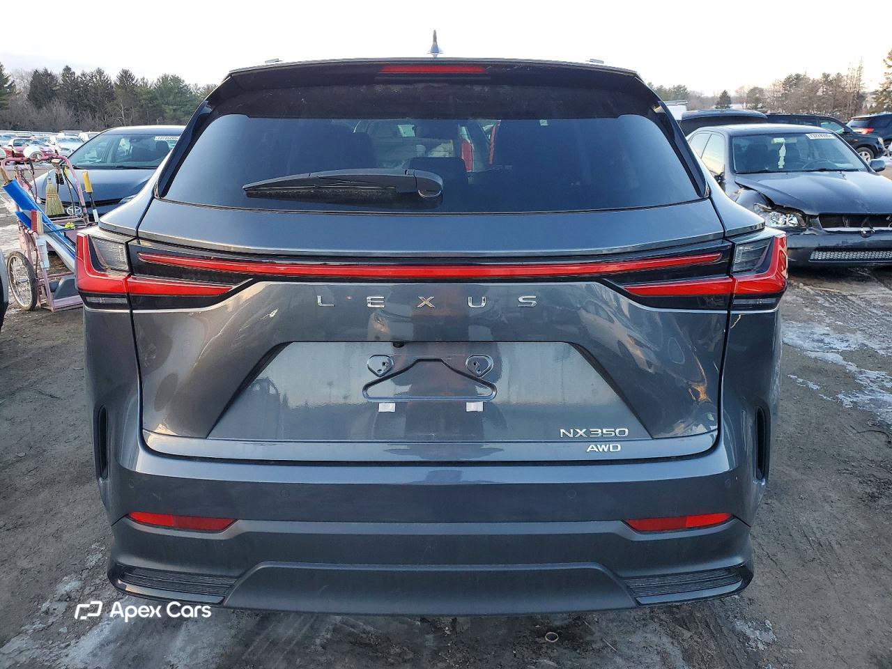 Lexus NX 2024