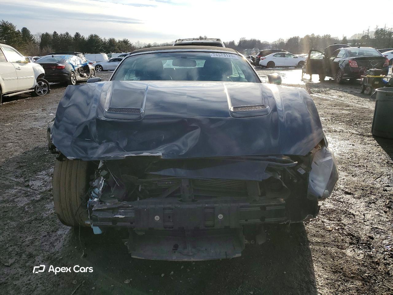Ford Mustang 2019