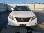 Lexus RX 2011