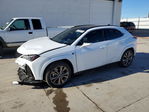 Lexus UX 2024