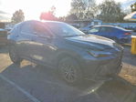 Lexus NX 2023