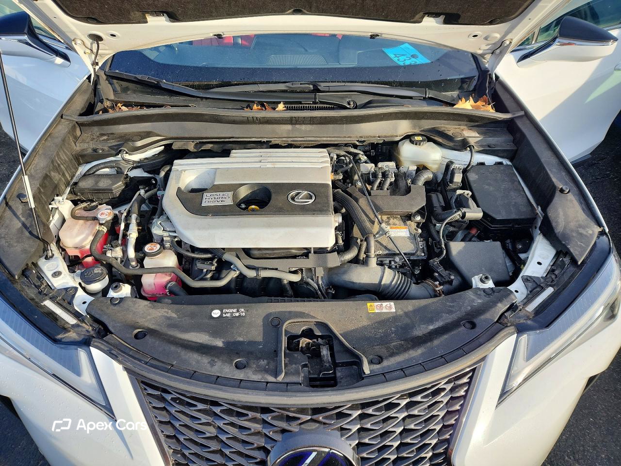 Lexus UX 2021