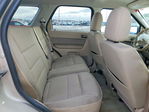 Ford Escape 2010