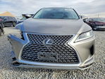 Lexus RX 2020