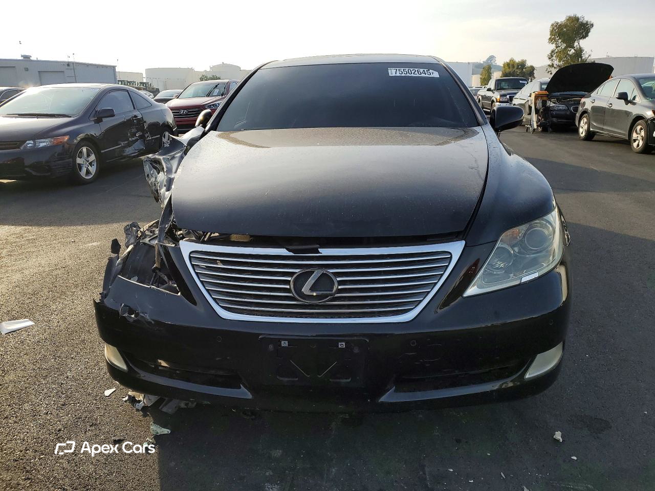 Lexus LS 2007