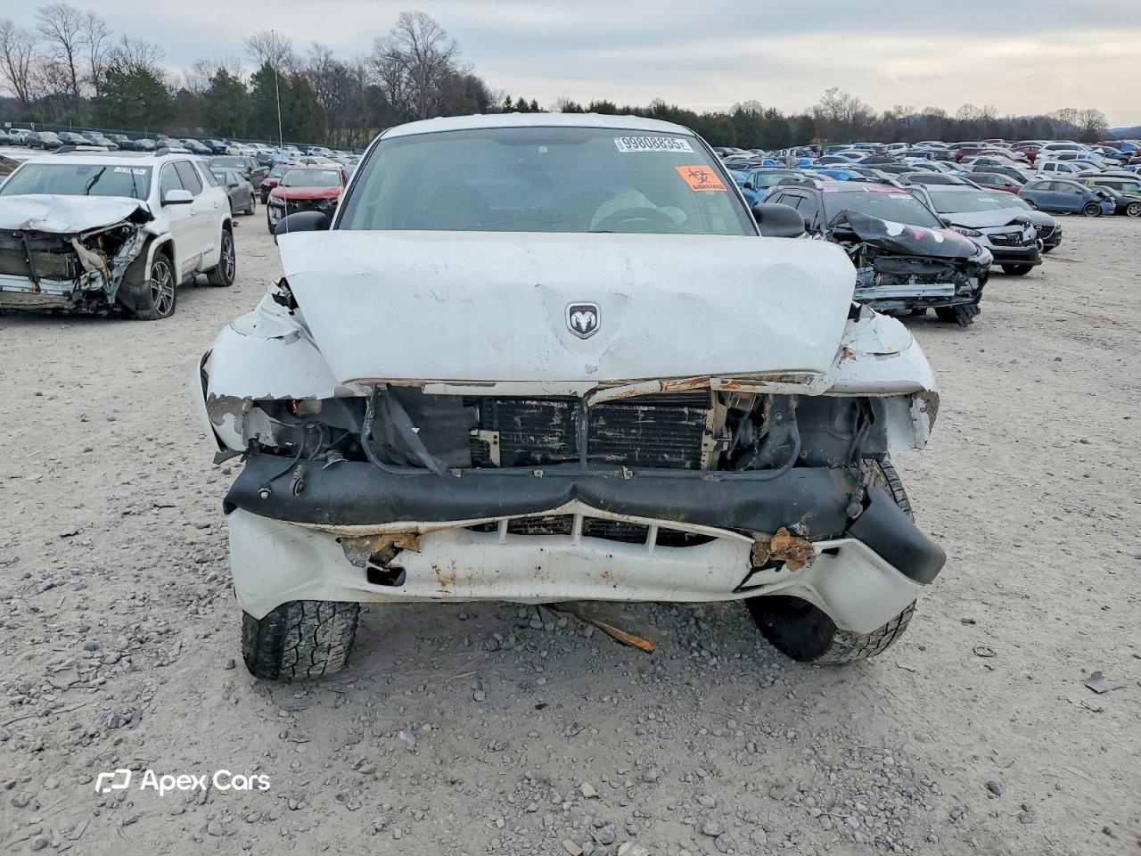 Dodge Dakota 2002