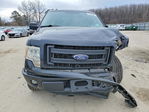 Ford F-150 2013