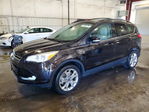 Ford Escape 2013