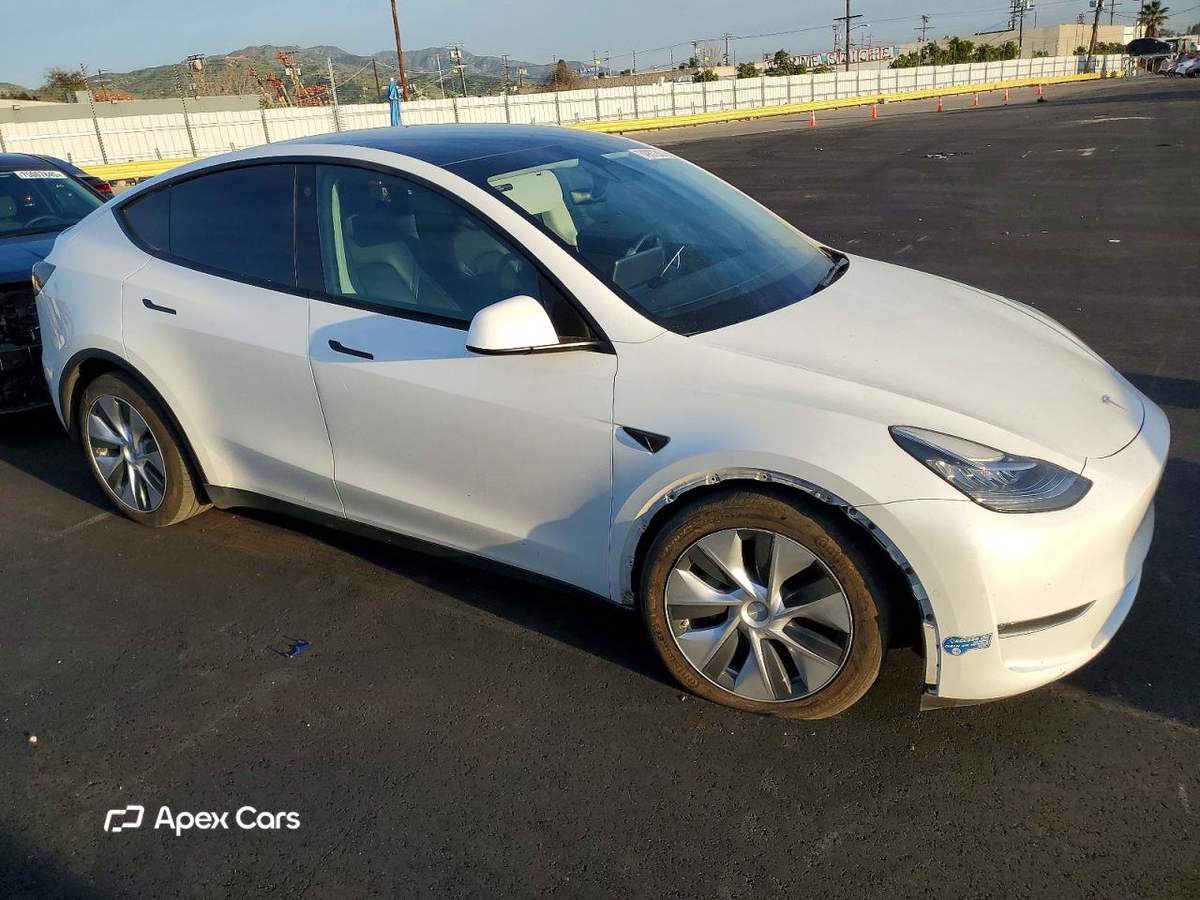 Tesla Model Y 2021