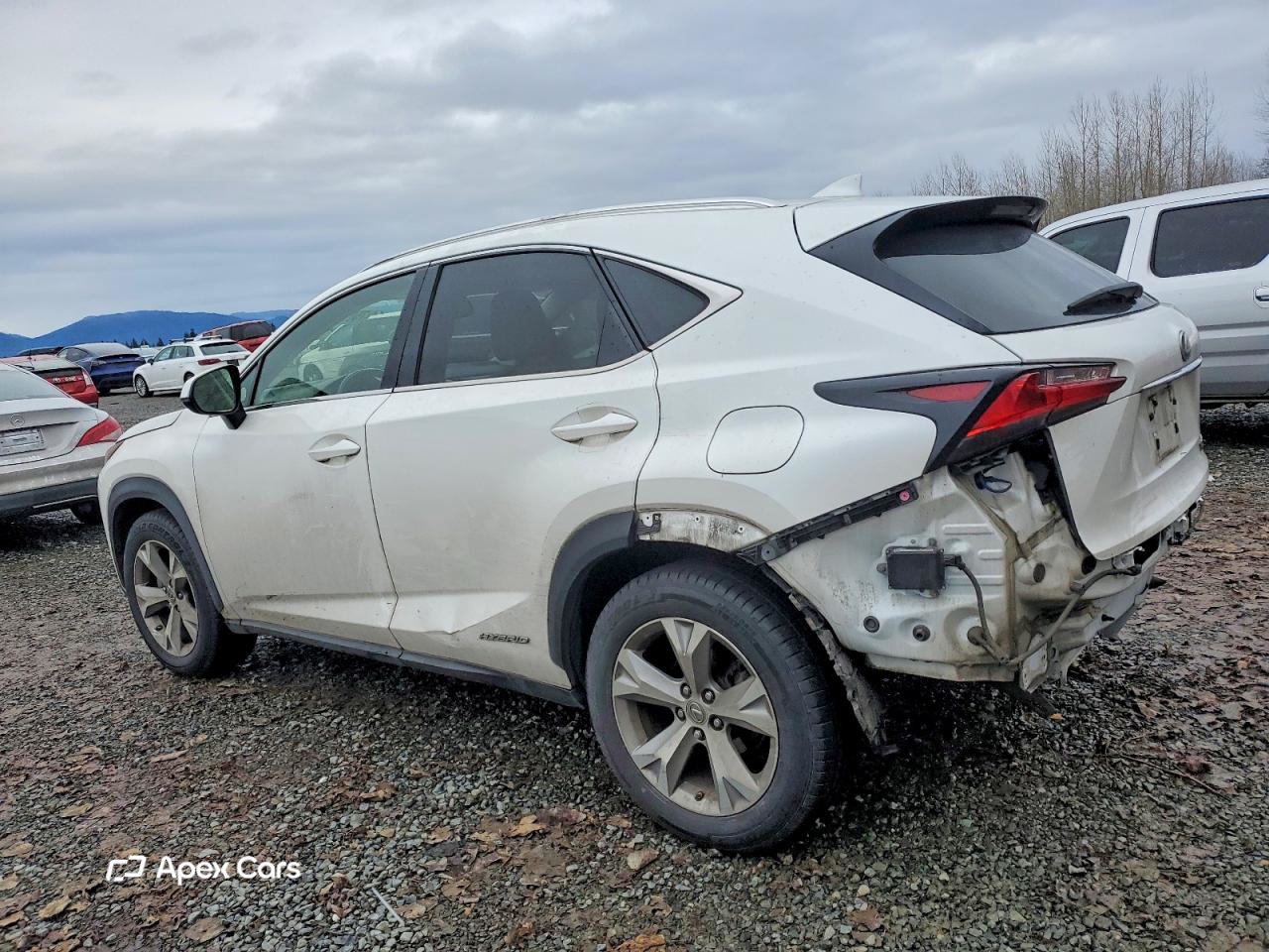 Lexus NX 2017