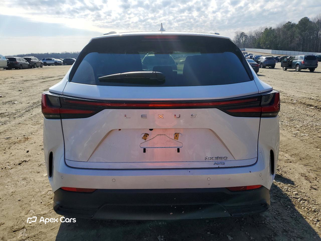 Lexus NX 2025