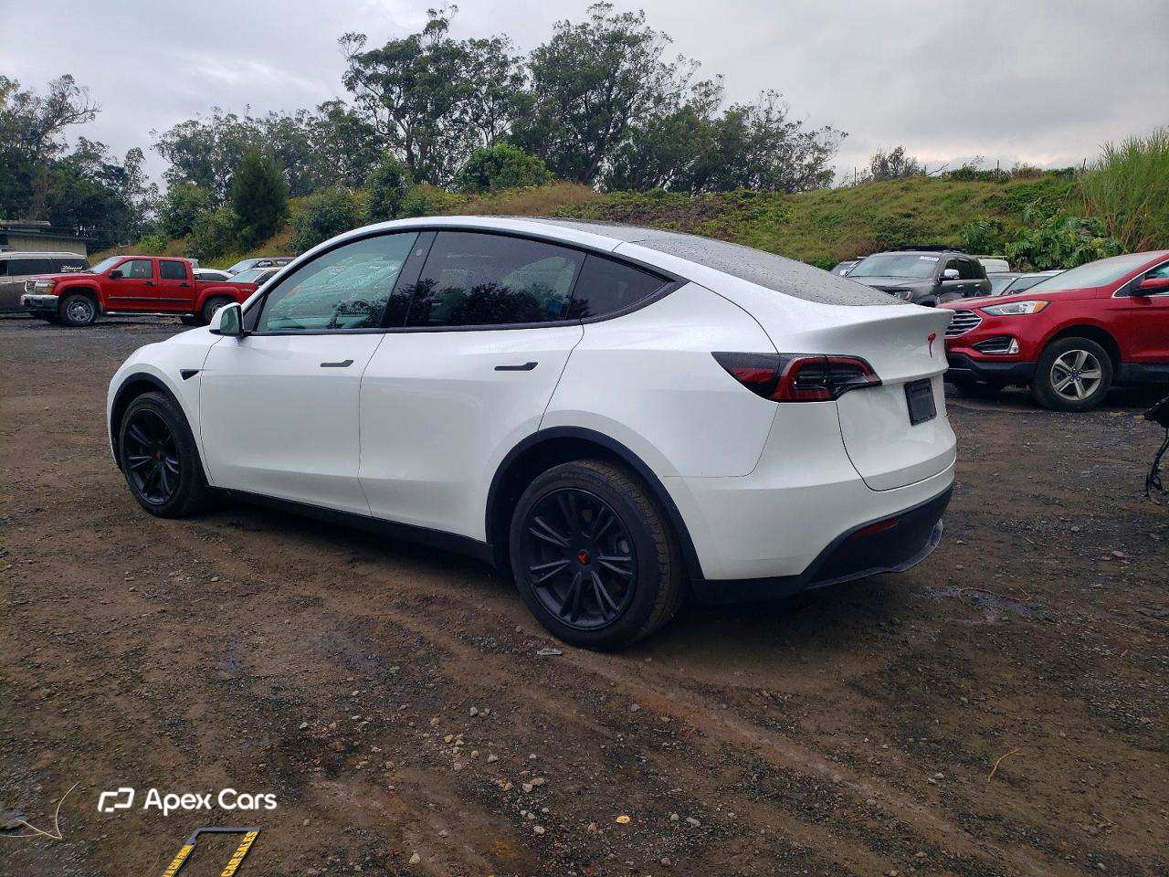 Tesla Model Y 2023