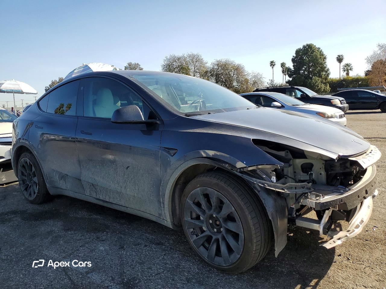Tesla Model Y 2024