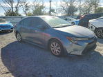 Toyota Corolla 2025