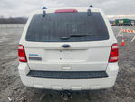 Ford Escape 2011