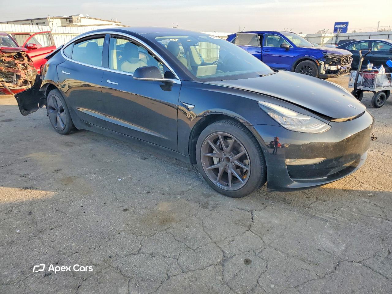 Tesla Model 3 2019