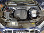 Audi Q5 2021