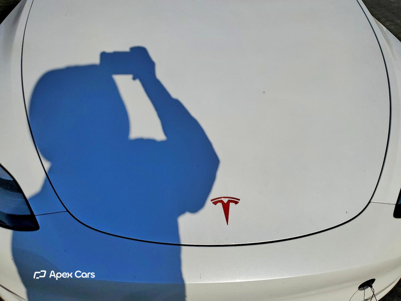 Tesla Model Y 2020