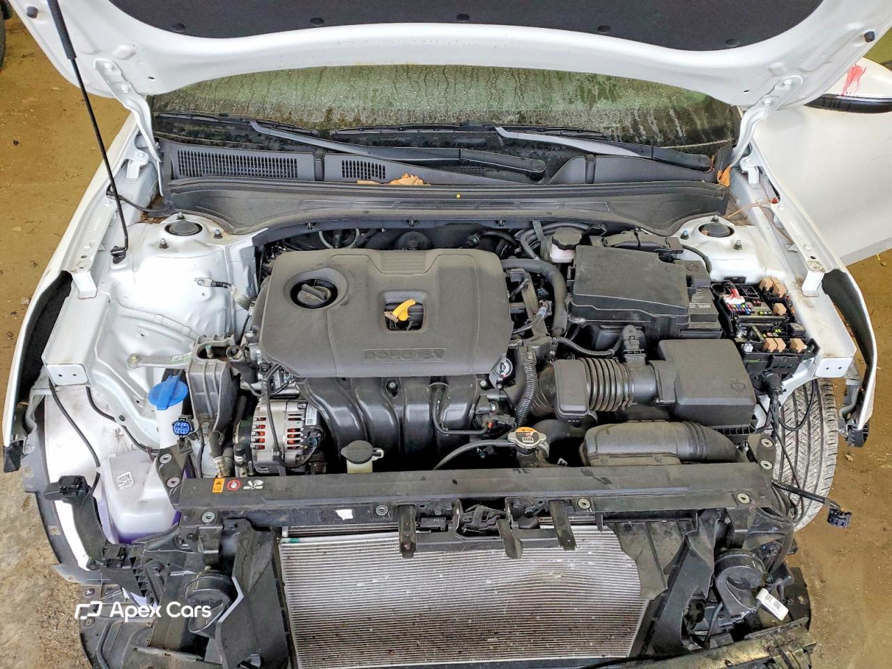 Kia Forte 2024