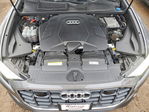 Audi Q8 2019