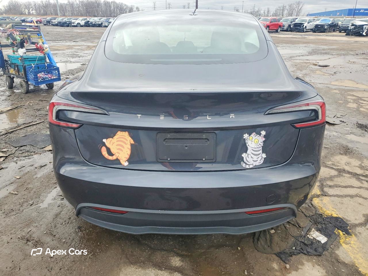 Tesla Model 3 2024