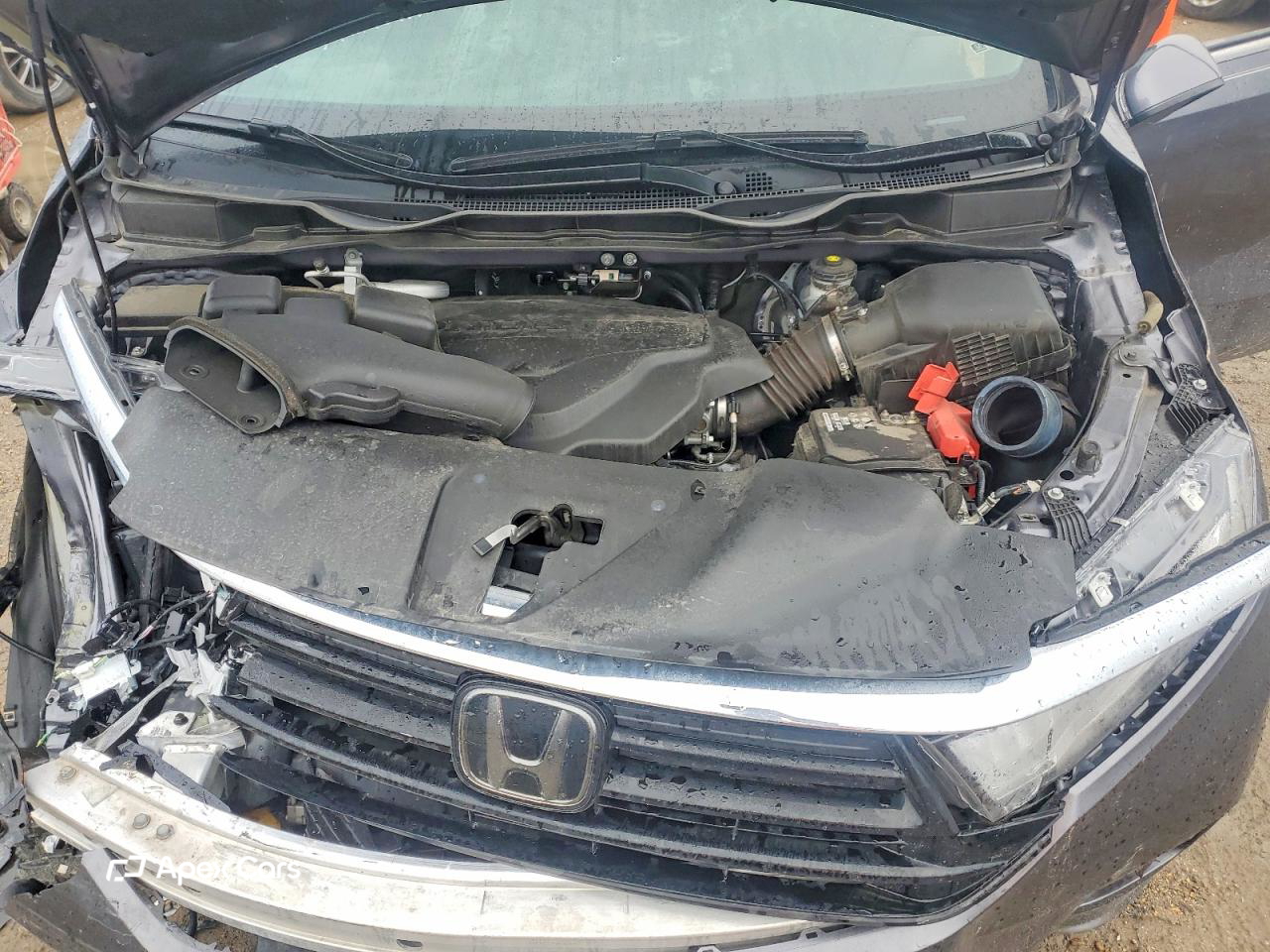 Honda Odyssey 2024