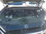 Lexus TX 2024