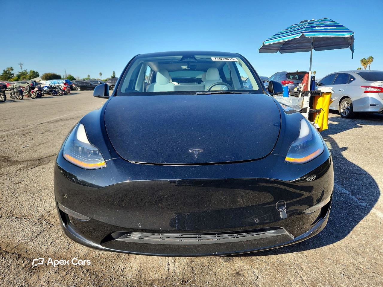 Tesla Model Y 2021