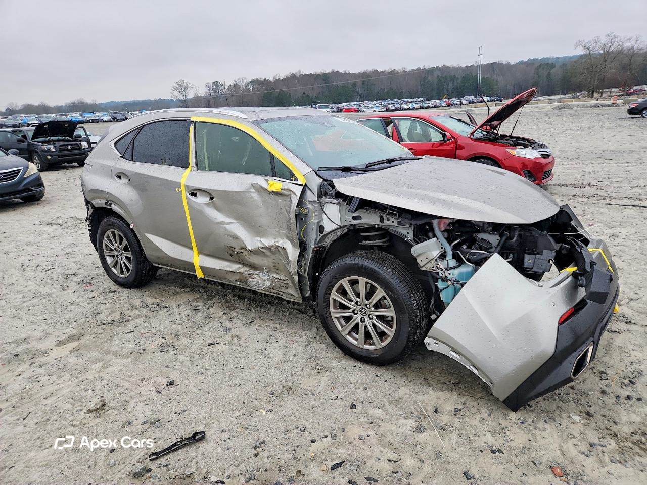 Lexus NX 2021