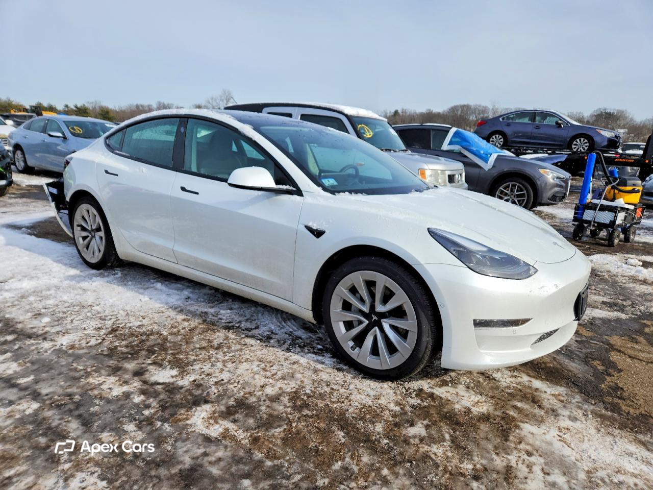 Tesla Model 3 2022
