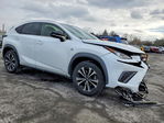 Lexus NX 2021