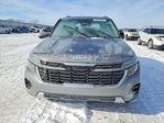Kia Seltos 2024