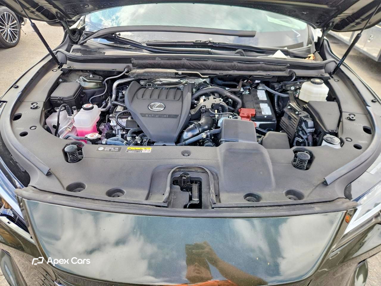 Lexus RX 2024