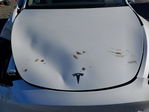 Tesla Model Y 2020