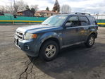 Ford Escape 2010