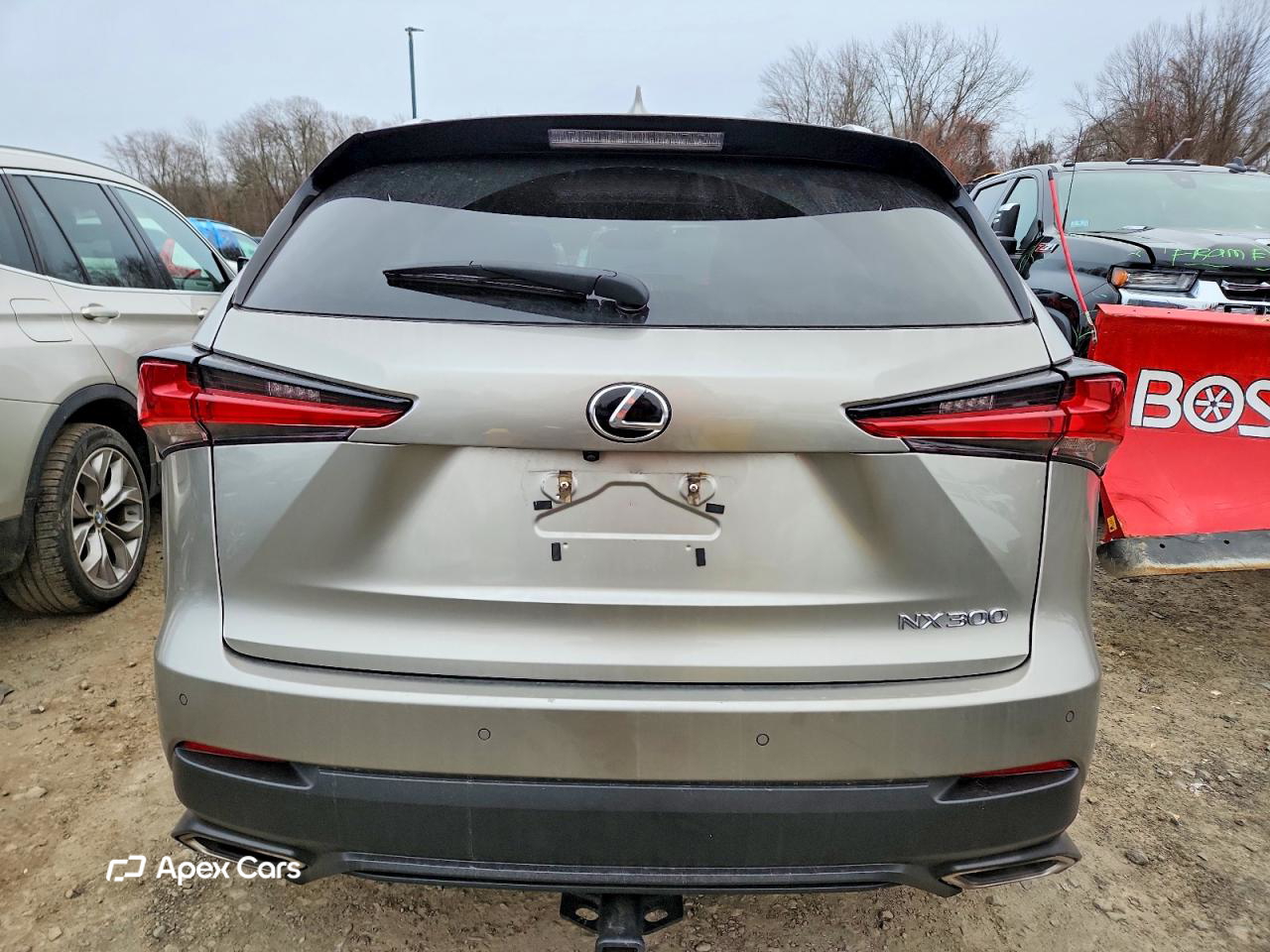 Lexus NX 2019