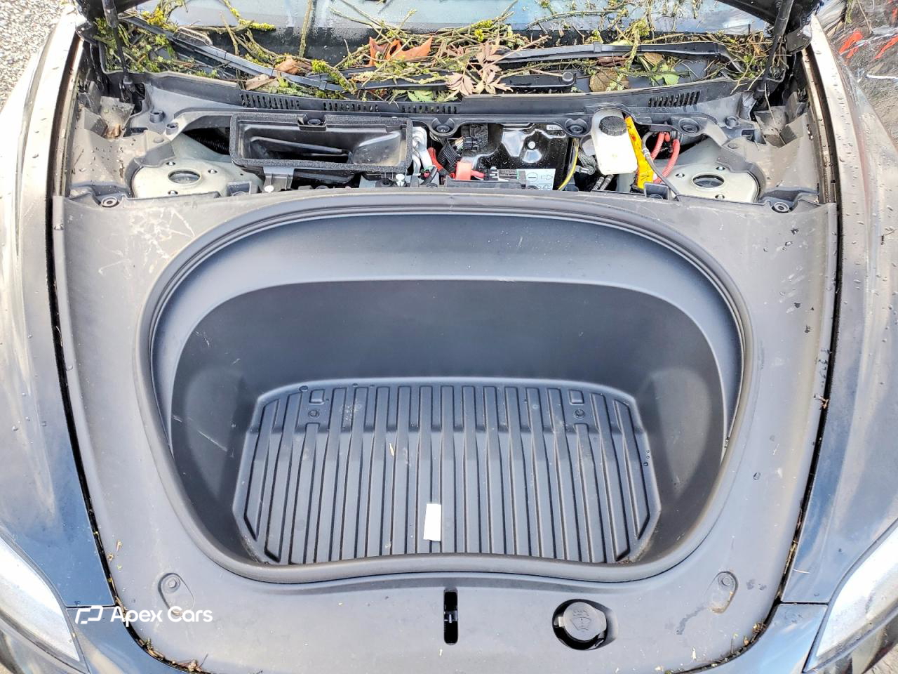 Tesla Model 3 2025