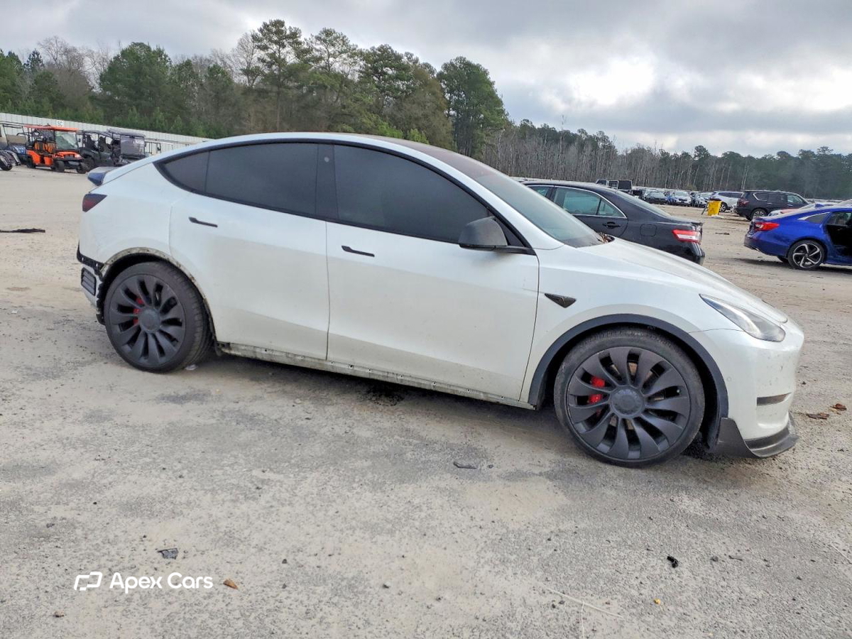 Tesla Model Y 2020