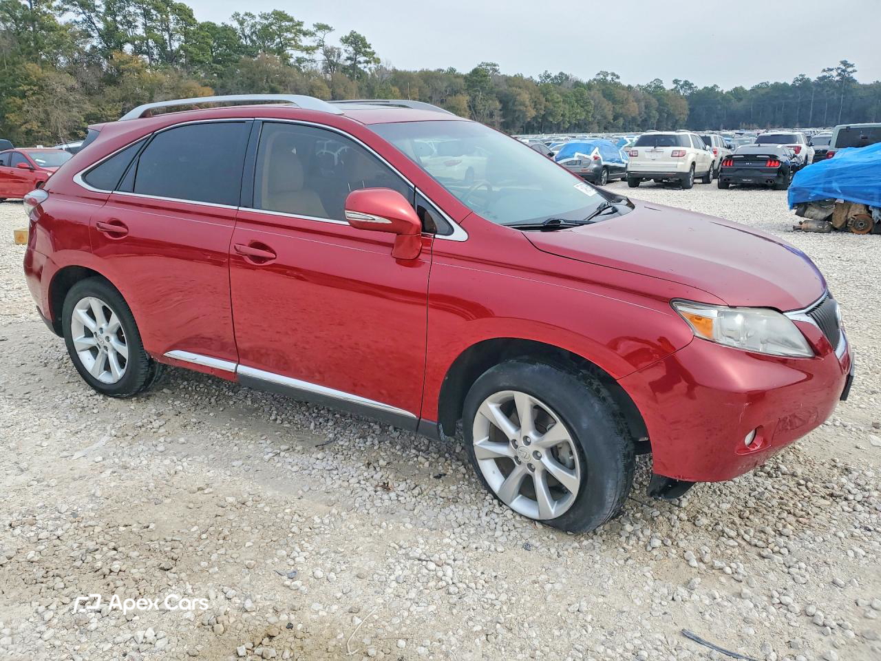 Lexus RX 2010
