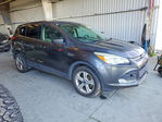 Ford Escape 2015