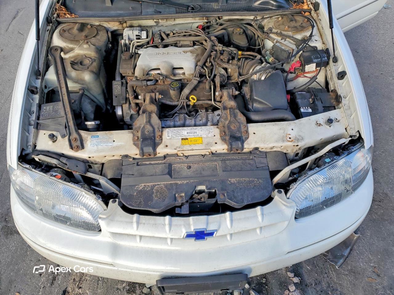 Lumina 1996